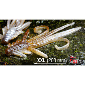 Obrázok 6 k Nymfa REDBASS XXL