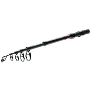 Obrázek 3 k Prut DAIWA Ninja X Tele Carp
