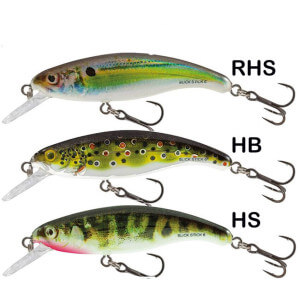 Wobler SALMO Slick Stick 6F