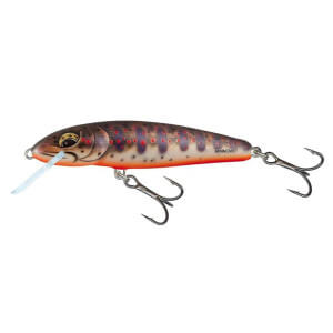 Wobler SALMO Minnow Floating Fresh Water Minnow, 6 cm