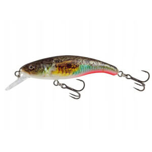 Wobler SALMO Slick Stick Floating Supernatural Gobie