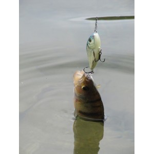 Obrázok 3 k Vobler SALMO Slider 12cm - S