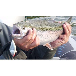 Obrázok 4 k Vobler SALMO Slider 12cm - S