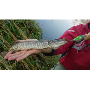 Obrázok 5 k Vobler SALMO Slider 12cm - S