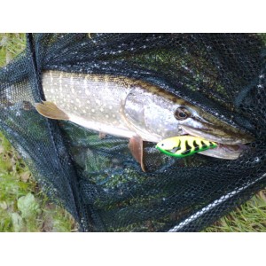 Obrázok 6 k Vobler SALMO Slider 12cm - S