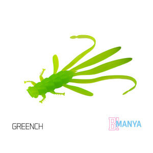 Nymfa DELPHIN Manya, 10,5 cm, 5 ks Greench