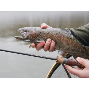 Obrázek 8 k Prut DELPHIN Troutera SoftLure