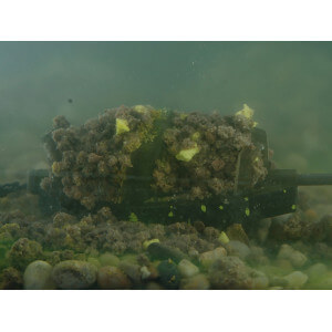 Obrázok 5 k Krmítko bez olova DELPHIN Method Quix Eco XL