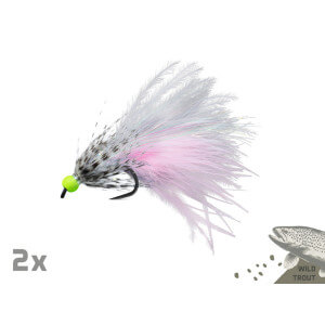 Obrázok 4 k Sada umelých mušiek DELPHIN Fly, Wild Trout