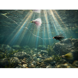 Obrázok 8 k Sada umelých mušiek DELPHIN Fly, Wild Trout