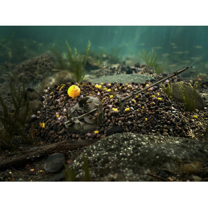 Obrázok 4 k Pelety DELPHIN Reaxe Ready&Go Pellet box + booster + Wafters