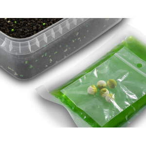 Obrázok 2 k Pelety DELPHIN Reaxe Ready&Go Pellet box + booster + Wafters