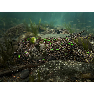 Obrázok 4 k Pelety DELPHIN Reaxe Ready&Go Pellet box + booster + Wafters