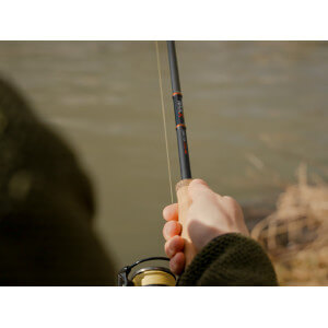 Obrázek 9 k Prut DELPHIN RaveX