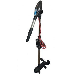 Elektromotor HASWING Protruar G 4.0 - 5Hp, 130lb