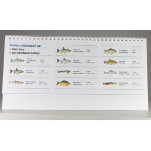 Obrázek 4 k Rybářský kalendář 2018