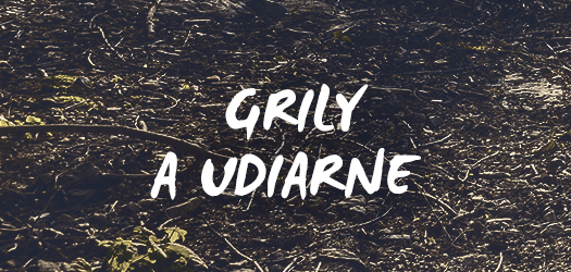 Grily a udiarne